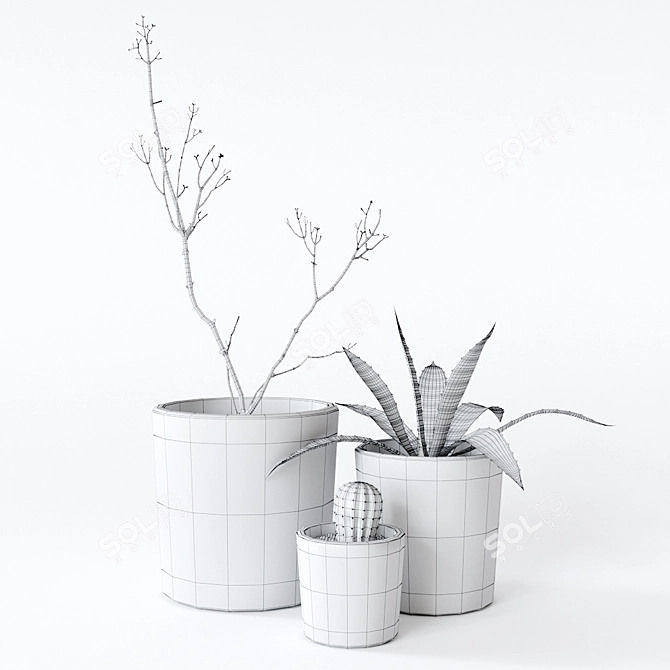 Indoor Greenery: Dynamic Composition 3D model image 4