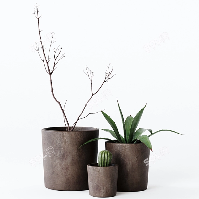 Indoor Greenery: Dynamic Composition 3D model image 5