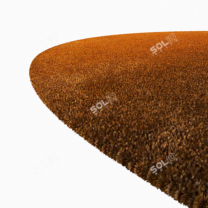 Luxury Sky Carpet 3D model image 4