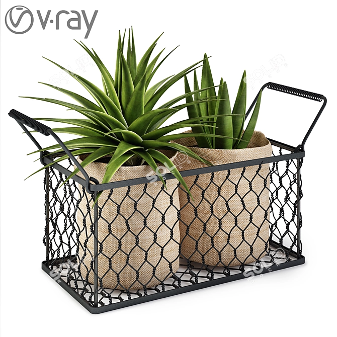 Lush Greenery in Basket 3D model image 1