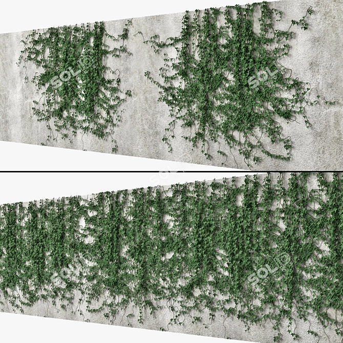 Ivy Reflections: Versatile Wall Decor 3D model image 1
