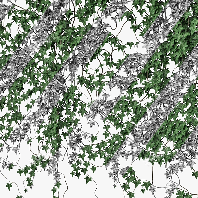 Ivy Reflections: Versatile Wall Decor 3D model image 5