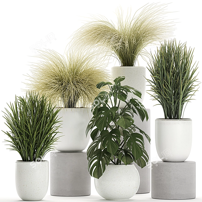 Exotic Greenery Collection in White Vase 3D model image 1