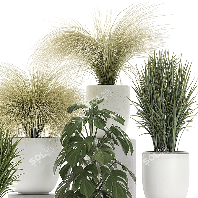 Exotic Greenery Collection in White Vase 3D model image 4