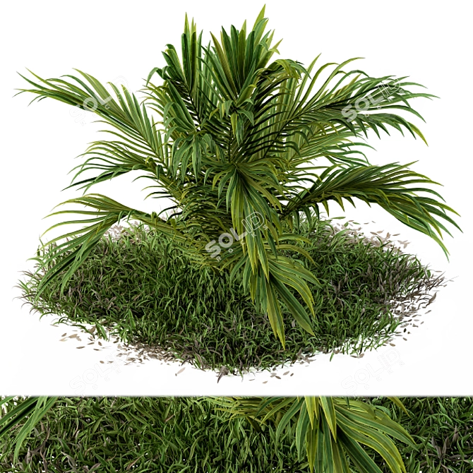 Tropical Serenity: Banana Palm and Wild Grass Outdoor Décor 3D model image 1