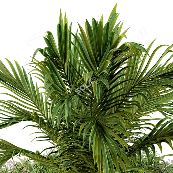 Tropical Serenity: Banana Palm and Wild Grass Outdoor Décor 3D model image 3