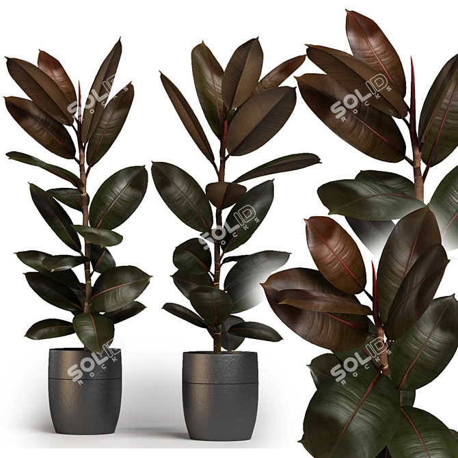 Lush Greenery: Indoor Plants 3D model image 1