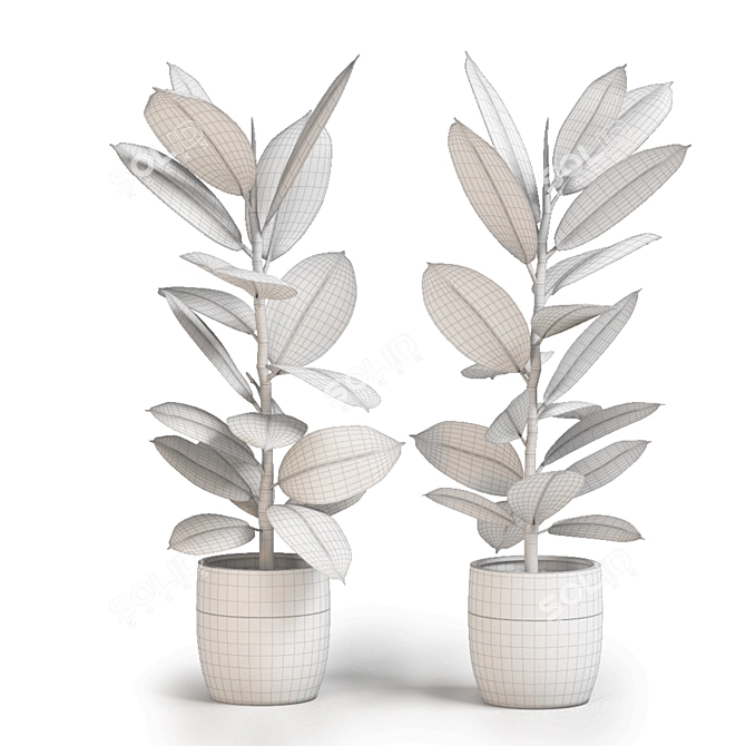 Lush Greenery: Indoor Plants 3D model image 2