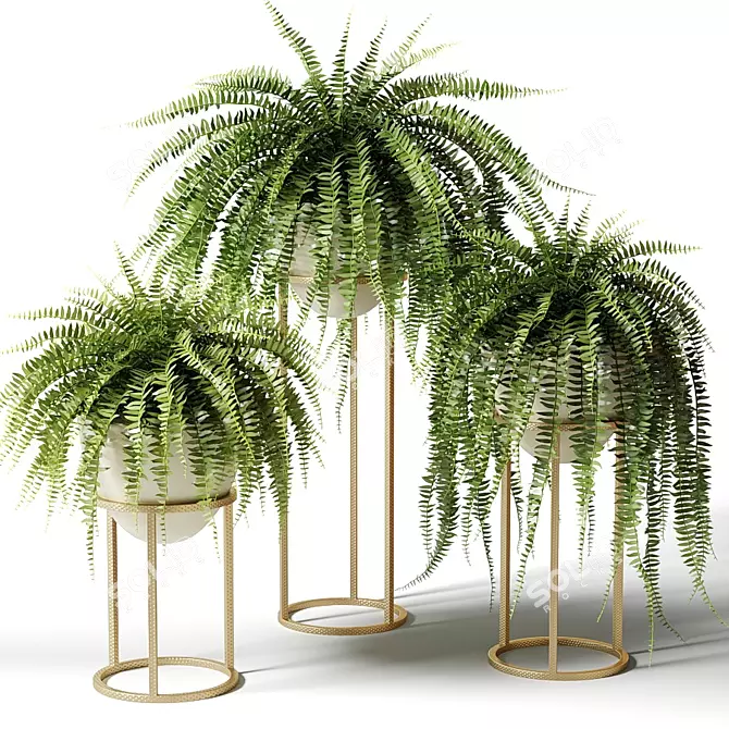 Nephrolepis Sublime: Indoor Greenery in Floor Planters 3D model image 1