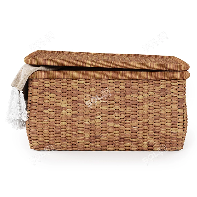Seagrass Beachcomber Basket: Natural and Sustainable Storage 3D model image 2