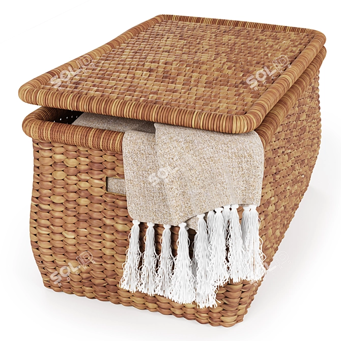 Seagrass Beachcomber Basket: Natural and Sustainable Storage 3D model image 3