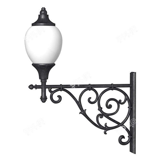 Elegant Outdoor Wall Light 3D model image 1