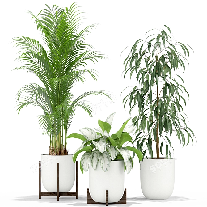 354 Plant Collection: Beautiful and Lifelike 3D model image 3