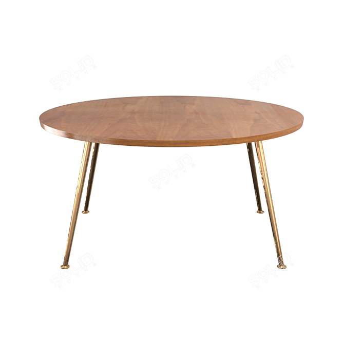 Sleek Thora Coffee Table 3D model image 1