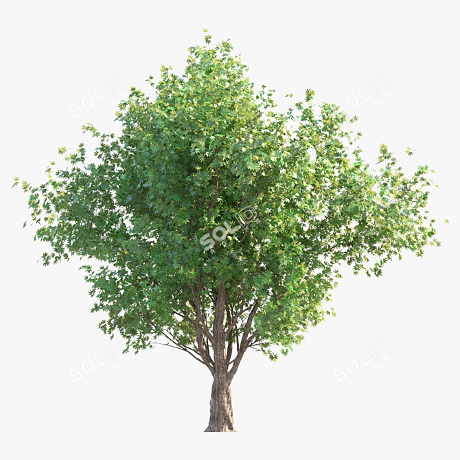 Dual Landscape Tree Set: Render-Ready 3D model image 2