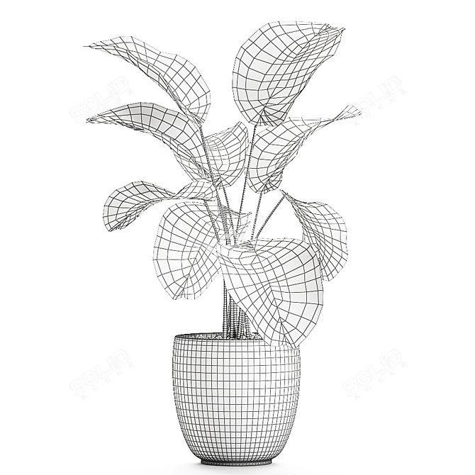 Exotic Plant Collection: Calathea, Ravenala, Strelitzia 3D model image 5