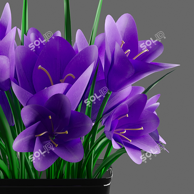 Spring Splendor: Crocus Bouquet in Vase 3D model image 1