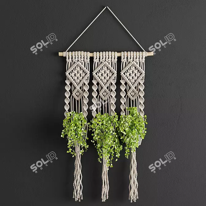 Boho Bliss Macrame Planter 3D model image 1