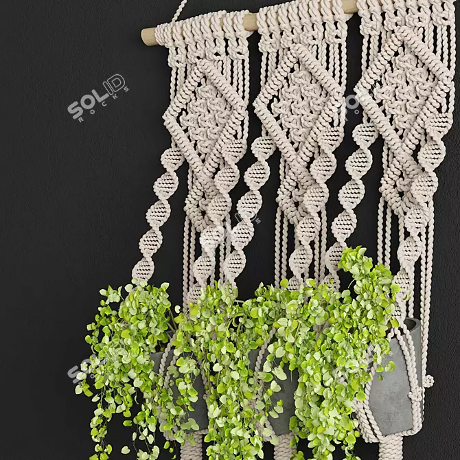 Boho Bliss Macrame Planter 3D model image 2