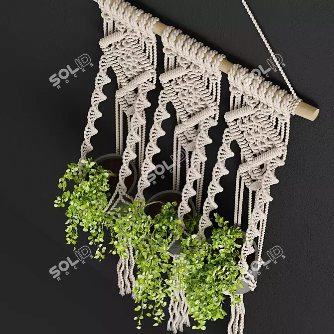 Boho Bliss Macrame Planter 3D model image 3