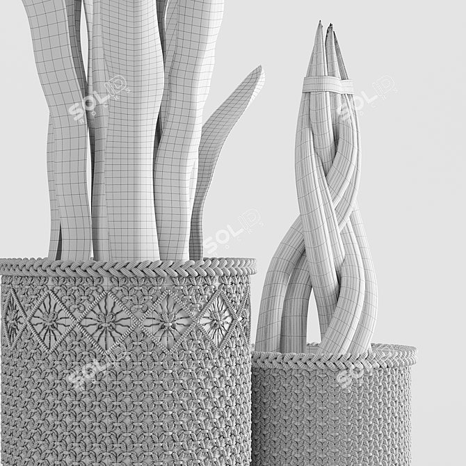 Braided Sansevieria: Macrame Planters 3D model image 4