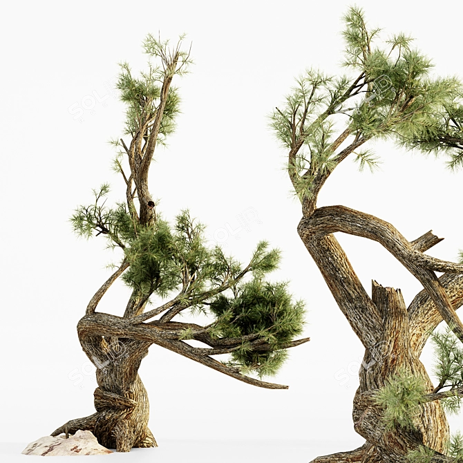  Majestic Jeffrey Pine Tree Collection 3D model image 2