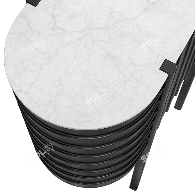 Monochrome Elegance: Woak Repeta 01 Cupboard 3D model image 4