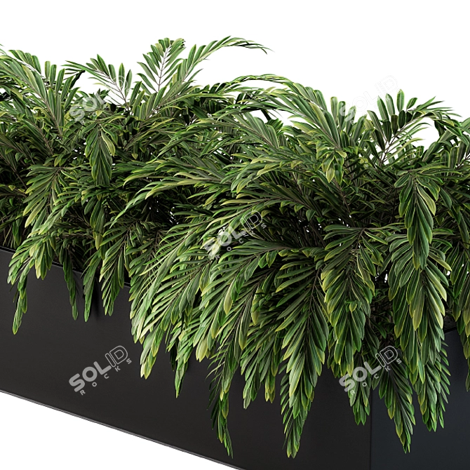 Tropical Oasis: Palm Plants in a Box 3D model image 4