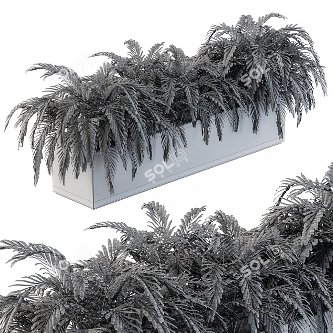 Tropical Oasis: Palm Plants in a Box 3D model image 5