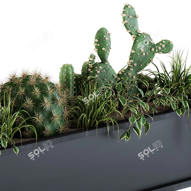 Desert in a Box Cactus 3D model image 3