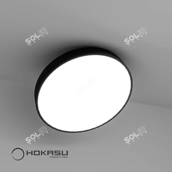 HOKASU Sun On: Perfect Lighting Solution 3D model image 3