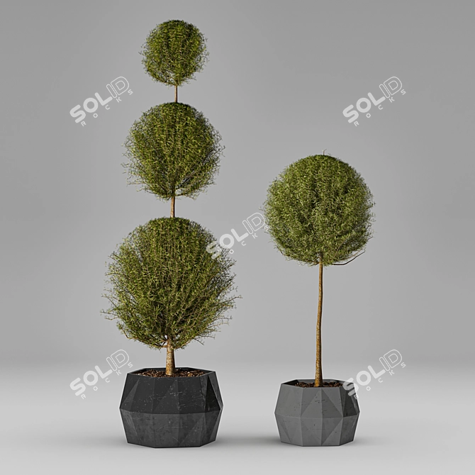 Exquisite Collection of Plants 3D model image 1