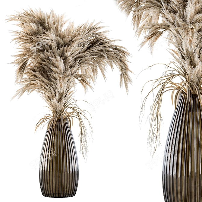 Pampas Dreams: Dry 29 Plants 3D model image 1