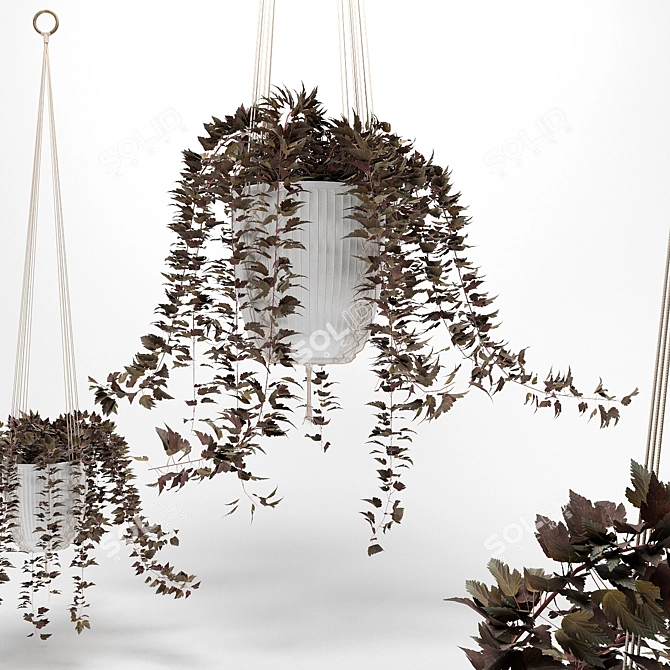 Macrame Hanging Pot Plants 3D model image 2