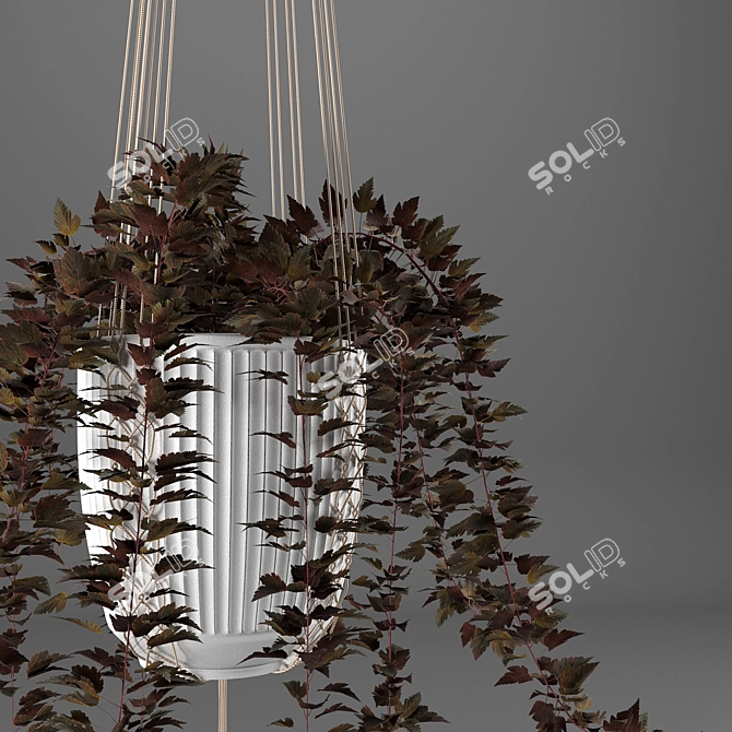 Macrame Hanging Pot Plants 3D model image 3