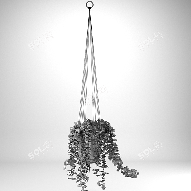 Macrame Hanging Pot Plants 3D model image 4