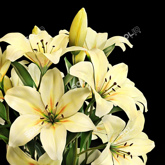 Elegant Flower Set: 3D Floral Decor 3D model image 4