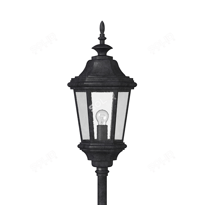 Elegant Wrought Iron Street Lamp 3D model image 2