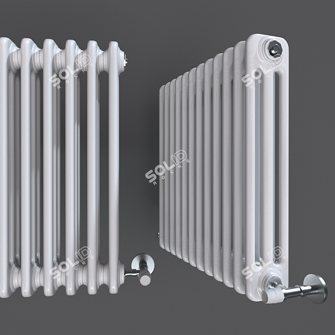 Elegant Cordivari Ardesia Radiator 3D model image 1