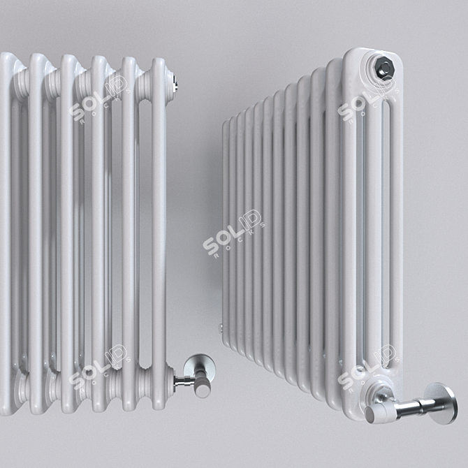 Elegant Cordivari Ardesia Radiator 3D model image 3