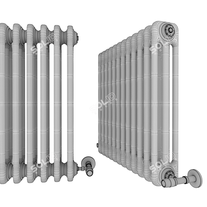 Elegant Cordivari Ardesia Radiator 3D model image 5