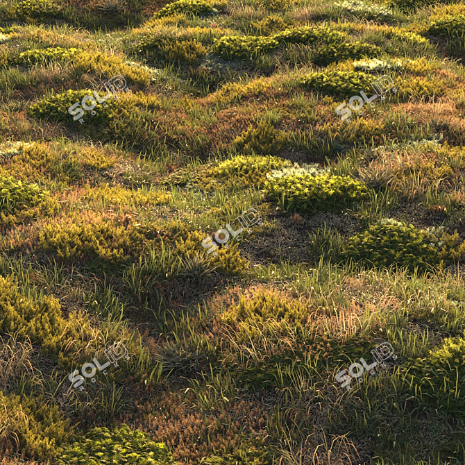 Lush Forest Grass: Realistic 3D Scatter 3D model image 1