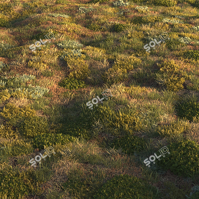 Lush Forest Grass: Realistic 3D Scatter 3D model image 2