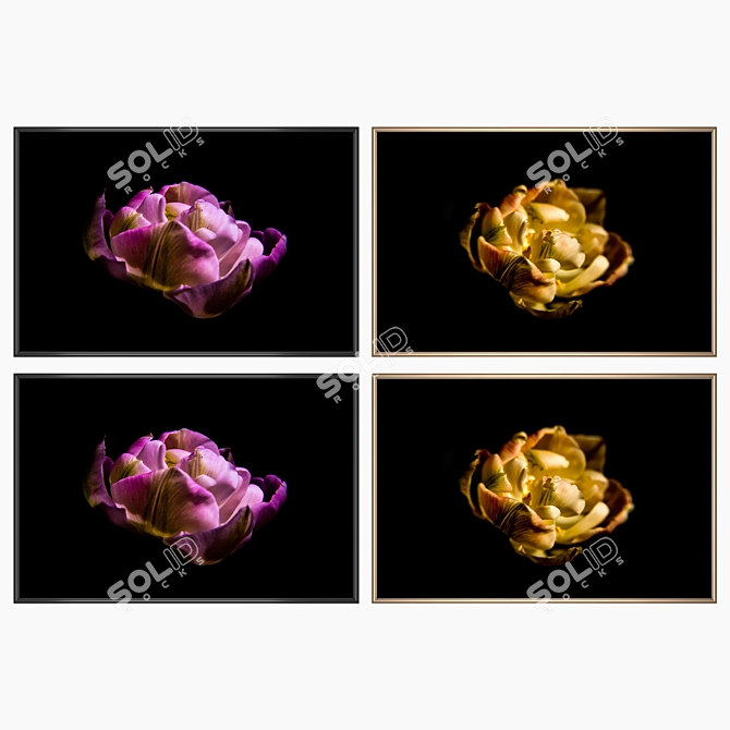 Elegant Framed Wall Art Set 3D model image 2