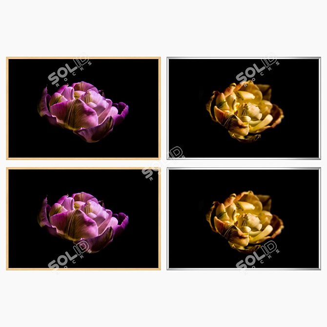 Elegant Framed Wall Art Set 3D model image 3