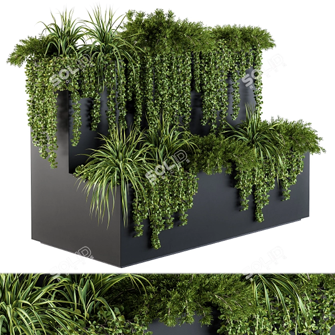 Lush Ivy Collection - Box Set 61 3D model image 1