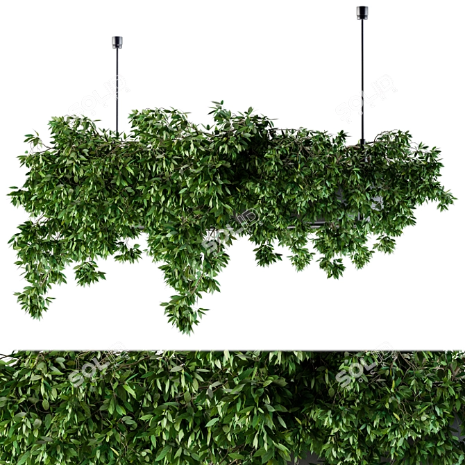 72-Piece Hanging Box Plant Set 3D model image 1