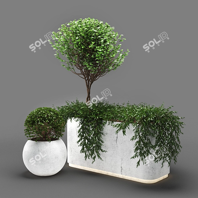 PolyPlant: 448k Unique Foliage 3D model image 1