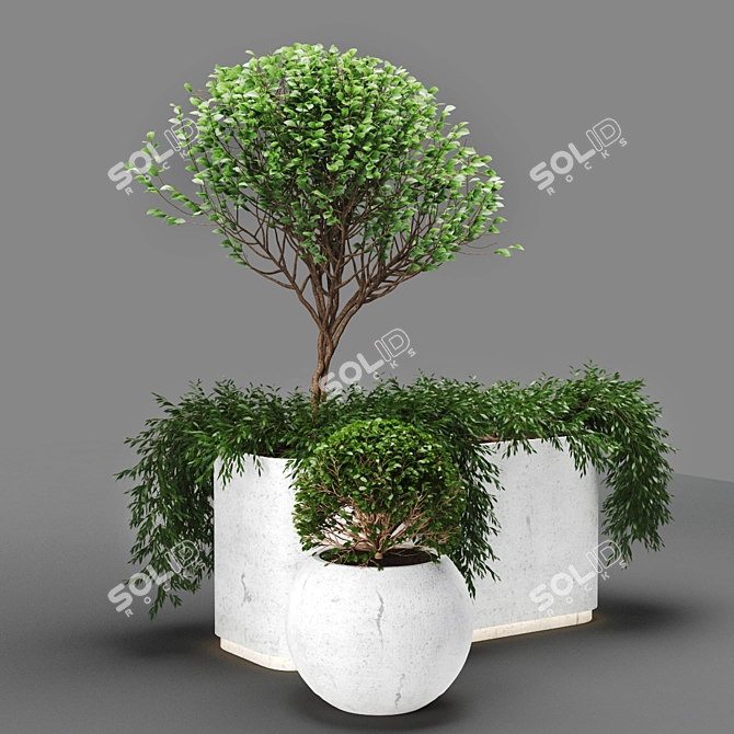 PolyPlant: 448k Unique Foliage 3D model image 2