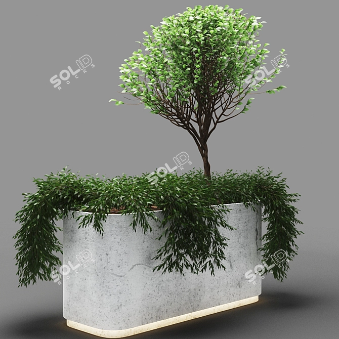 PolyPlant: 448k Unique Foliage 3D model image 3